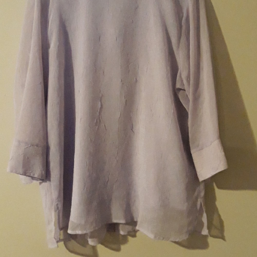 Dress Blouse - Picture 4 of 4